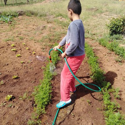 Gabriel watering his vegetables.jpeg