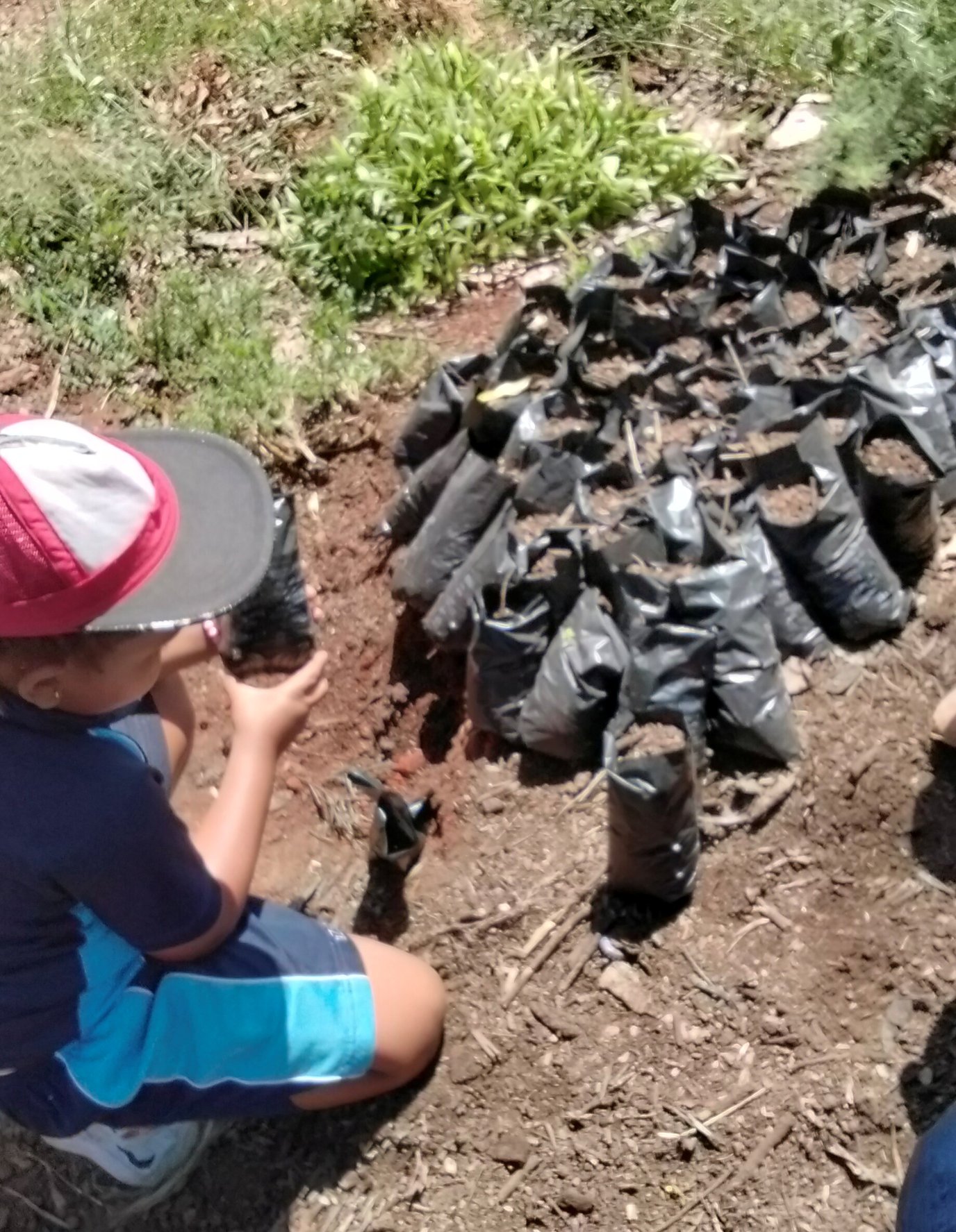 IMG20260130114720 (1).jpg