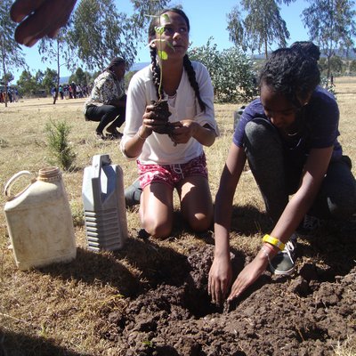 Planting Trees