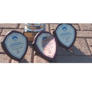 Victory at the Annual Inter-Braeburn Swimming Gala